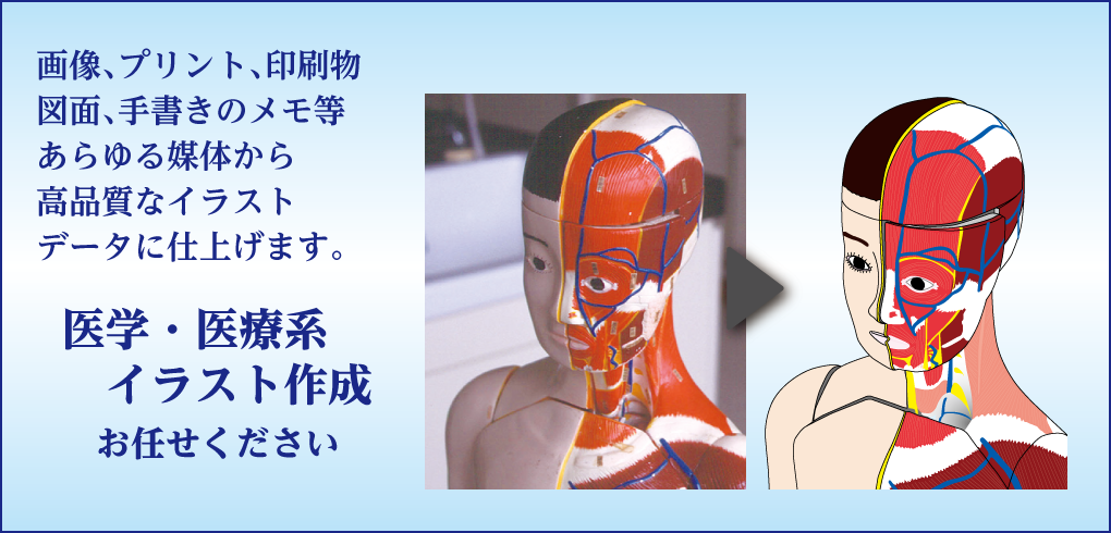 医学・医療系イラスト作成なら、画像、プリント、印刷物、図面、手書きのメモ等あらゆる媒体から高品質なイラストデータに仕上げます。株式会社テックメイトのGood Job DTPにお任せください。